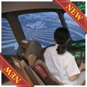 3 Countries World Travel Flight Simulator Course in Tokyo, Japan
