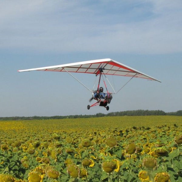 Aeros glider taking off over field of sunflowers