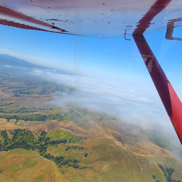 California Aviation Services Gallery Image. Climbing-out over the clouds
