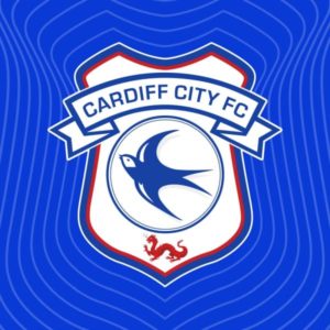 Cardiff City FC & Millenium Stadium Helicopter Tour