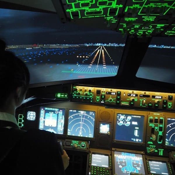 Boeing 737 Max Evening / Night Flight Simulator Experiences in Tokyo, Japan