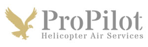 ProPilot Helicopter Air Services Banner AvPay