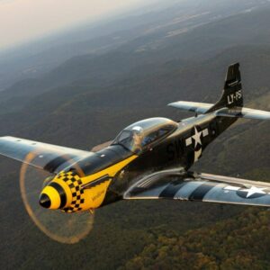 SW-51 Mustang Military Aircraft For Sale From ScaleWings Aircraft On AvPay in flight