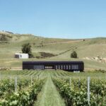 The Grape Vine (Wine Tasting) Scenic Flight From Christchurch Helicopters winery 2