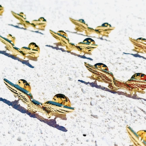 Training From Superba Consulting On AvPay