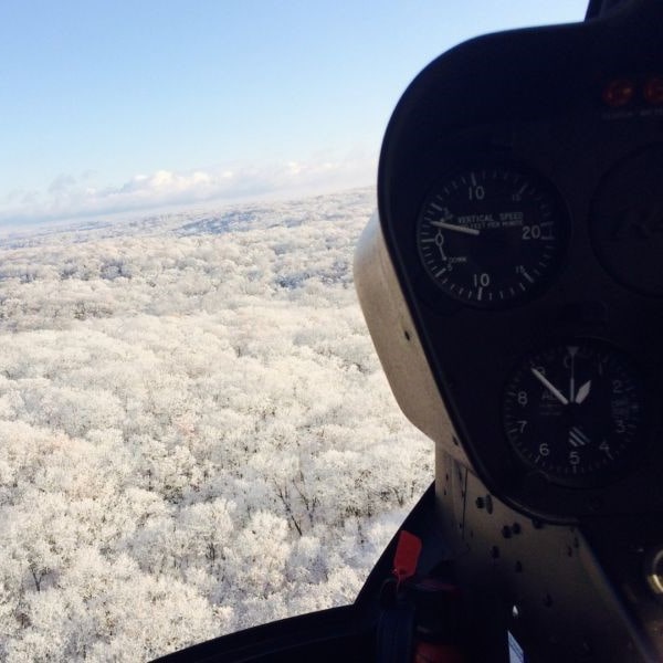 Wings Air Helicopters view of snow-capped trees from the Robinson R44 cockpit